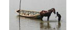 bateau cheval à Joal